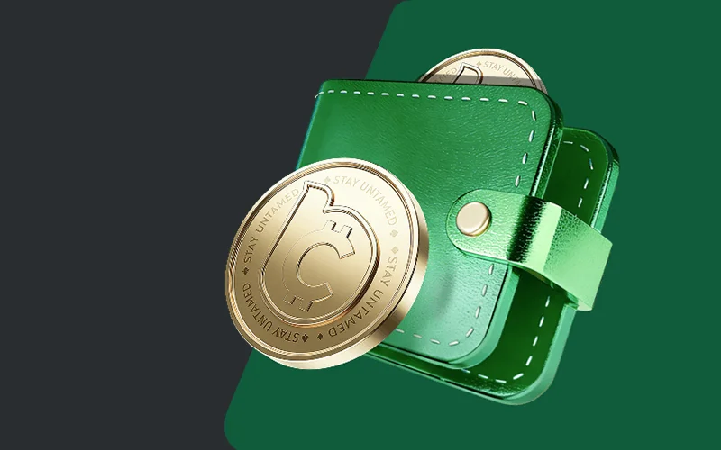 Use the BC Game welcome bonus on the best slot games and sports betting.