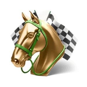 Place a bet on horse racing on the BC Game website.
